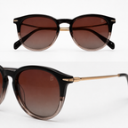 David Beckham Tiger Sunglasses